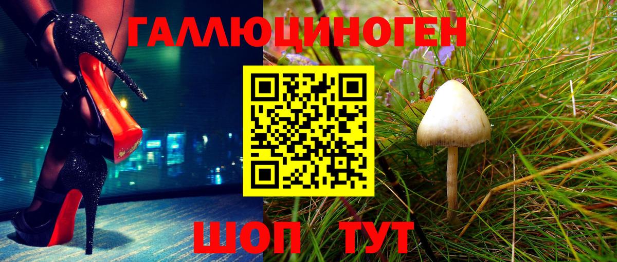 Псилоцибиновые грибы GOLDEN TEACHER  Вход с VPN  Донецк 